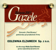 Gazele Biznesu 2003